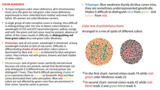 THE EYE -anatomy and physiology detailed | PPTX