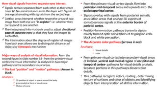 Separate Visual THE EYE -anatomy and physiology detailed | PPTX