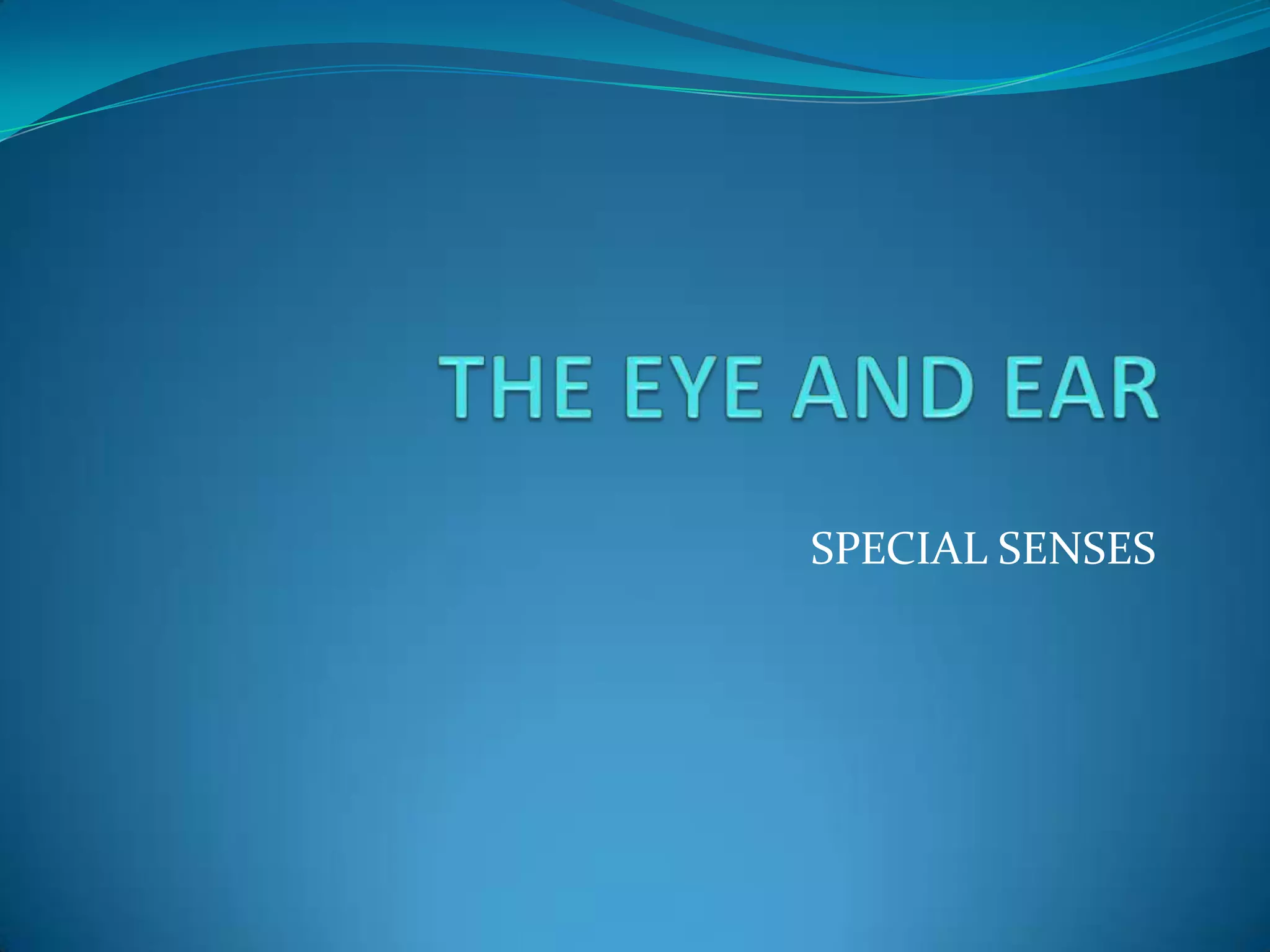 The eye and ear chapter 13 PPT