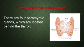 Parathyroid Eye The eye and endocrine system | PPTX