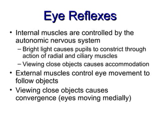 Eye Reflexes
• Internal muscles are controlled by the
  autonomic nervous system
  – Bright light causes pupils to constrict through
    action of radial and ciliary muscles
  – Viewing close objects causes accommodation
• External muscles control eye movement to
  follow objects
• Viewing close objects causes
  convergence (eyes moving medially)
 