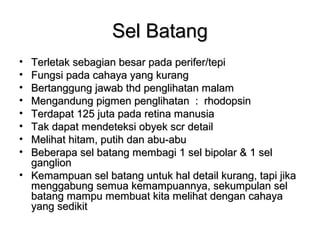Sel Batang
• Terletak sebagian besar pada perifer/tepi
• Fungsi pada cahaya yang kurang
• Bertanggung jawab thd penglihatan malam
• Mengandung pigmen penglihatan : rhodopsin
• Terdapat 125 juta pada retina manusia
• Tak dapat mendeteksi obyek scr detail
• Melihat hitam, putih dan abu-abu
• Beberapa sel batang membagi 1 sel bipolar & 1 sel
  ganglion
• Kemampuan sel batang untuk hal detail kurang, tapi jika
  menggabung semua kemampuannya, sekumpulan sel
  batang mampu membuat kita melihat dengan cahaya
  yang sedikit
 