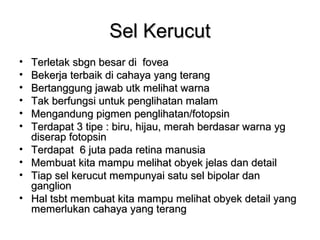 Sel Kerucut
•   Terletak sbgn besar di fovea
•   Bekerja terbaik di cahaya yang terang
•   Bertanggung jawab utk melihat warna
•   Tak berfungsi untuk penglihatan malam
•   Mengandung pigmen penglihatan/fotopsin
•   Terdapat 3 tipe : biru, hijau, merah berdasar warna yg
    diserap fotopsin
•   Terdapat 6 juta pada retina manusia
•   Membuat kita mampu melihat obyek jelas dan detail
•   Tiap sel kerucut mempunyai satu sel bipolar dan
    ganglion
•   Hal tsbt membuat kita mampu melihat obyek detail yang
    memerlukan cahaya yang terang
 
