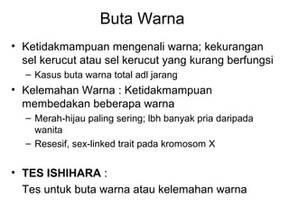 Buta Warna
• Ketidakmampuan mengenali warna; kekurangan
  sel kerucut atau sel kerucut yang kurang berfungsi
  – Kasus buta warna total adl jarang
• Kelemahan Warna : Ketidakmampuan
  membedakan beberapa warna
  – Merah-hijau paling sering; lbh banyak pria daripada
    wanita
  – Resesif, sex-linked trait pada kromosom X


• TES ISHIHARA :
  Tes untuk buta warna atau kelemahan warna
 