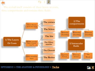 1/The Layers
Or Coats
Outer fibrous
protective layer
The cornea
The Sclera
Middle vascular
layer (“uveal
tract”)
The Iris
The Ciliary
muscles
The Choroid
Inner sensitive
layer The Retina
2/The
compartments
Anterior
chamber
Posterior
chamber
Vitreous
chamber
3/intraocular
fluids
Aqueous
humor
Vitreous
humor
The
Blood
The eyeball itself consists of three layers or coats,
three compartments and contains three fluids:
21Pg.
 
