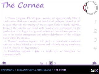21Pg. 3
3- Stroma ( approx. 450-500 μm) : consists of approximately 90% of
total corneal thickness. Consists of lamellae of collagen aligned at 90°
to each other and the spacing of the collagen fibrils is highly ordered.,
Between the lamellae are found cells (keratocytes) responsible for the
production of collagen and ground substance Corneal transparency is
due to the regular arrangement and relative dehydration of the collagen
fibres within the stroma..
4- Descemet’s membrane (approx. 5-10 μm) : a thin elastic membrane
resistant to both infection and trauma and relatively strong membrane
but lost tissue is not regenerated .
5- Endothelium (approx. 4 μm) : a single layer of hexagonal not
regenerated cells
 