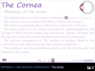 31Pg. 2
The primary function of the cornea is refraction (approx. 43 diopters).
The cornea is the eye window that allows to form a clear image .
The cornea is a protective layer to the inner components of the eye .
The water content of the cornea controlled by epithelium(prevent the
passage of fluid into the stroma) and endothelium (pump the fluids into
the aqueous) to provide corneal dehydration to keep its transparency.
The uniform arrangement of the lamellae of collagen fibrils in the
corneal stroma also help to maintain the corneal transparency .
The epithelium and the endothelium attach with the tear that give the
nutrition to the cornea .
 