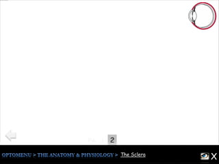 21Pg.
The Sclera
The sclera is fibrous , and consists of :
* layer of loose connective tissue deep to the conjunctiva, over laying
the sclera, called the episclera.
* A cellular connective tissue with a higher water content than the
cornea .
* Stroma consists of irregular lamellae of collagen fibers (this is the
cause of its whitish opaque appearance) .
The most important FUNCTION of the sclera is to protect the eye by
its rigid formation , & cut the light entering the eye off except from the
cornea .
XThe Sclera
 