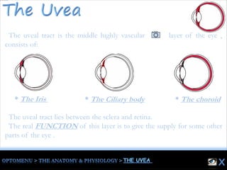 The uveal tract is the middle highly vascular layer of the eye ,
consists of:
The uveal tract lies between the sclera and retina.
The real FUNCTION of this layer is to give the supply for some other
parts of the eye .
* The choroid* The Ciliary body* The Iris
 