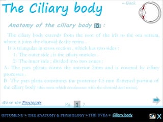 1Pg. 2
The ciliary body extends from the root of the iris to the ora serrata,
where it joins the choroid & the retina .
It is triangular in cross section , which has two sides :
1- The outer side ; is the ciliary muscles .
2- The inner side ; divided into two zones :
A- The pars plicata forms the anterior 2mm and is covered by ciliary
processes .
B- The pars plana constitutes the posterior 4.5-mm flattened portion of
the ciliary body (this zone which continuous with the choroid and retina).
←Back
 