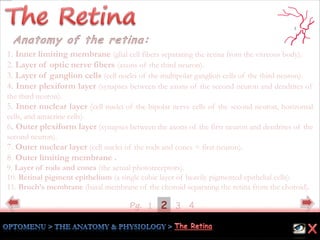 Pg. 421 3
1. Inner limiting membrane (glial cell fibers separating the retina from the vitreous body).
2. Layer of optic nerve fibers (axons of the third neuron).
3. Layer of ganglion cells (cell nuclei of the multipolar ganglion cells of the third neuron).
4. Inner plexiform layer (synapses between the axons of the second neuron and dendrites of
the third neuron).
5. Inner nuclear layer (cell nuclei of the bipolar nerve cells of the second neuron, horizontal
cells, and amacrine cells).
6. Outer plexiform layer (synapses between the axons of the first neuron and dendrites of the
second neuron).
7. Outer nuclear layer (cell nuclei of the rods and cones = first neuron).
8. Outer limiting membrane .
9. Layer of rods and cones (the actual photoreceptors).
10. Retinal pigment epithelium (a single cubic layer of heavily pigmented epithelial cells).
11. Bruch’s membrane (basal membrane of the choroid separating the retina from the choroid).
 