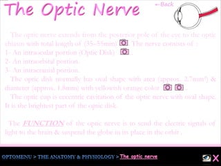 The optic nerve extends from the posterior pole of the eye to the optic
chiasm with total length of (35–55mm) . The nerve consists of :
1- An intraocular portion (Optic Disk) .
2- An intraorbital portion.
3- An intracranial portion.
The optic disk normally has oval shape with area (approx. 2.7mm²) &
diameter (approx. 1.8mm) with yellowish orange color .
The optic cup is eccentric cavitation of the optic nerve with oval shape.
It is the brightest part of the optic disk.
The FUNCTION of the optic nerve is to send the electric signals of
light to the brain & suspend the globe in its place in the orbit .
←Back
 