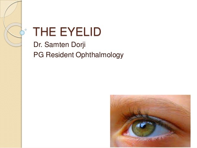 The eyelid