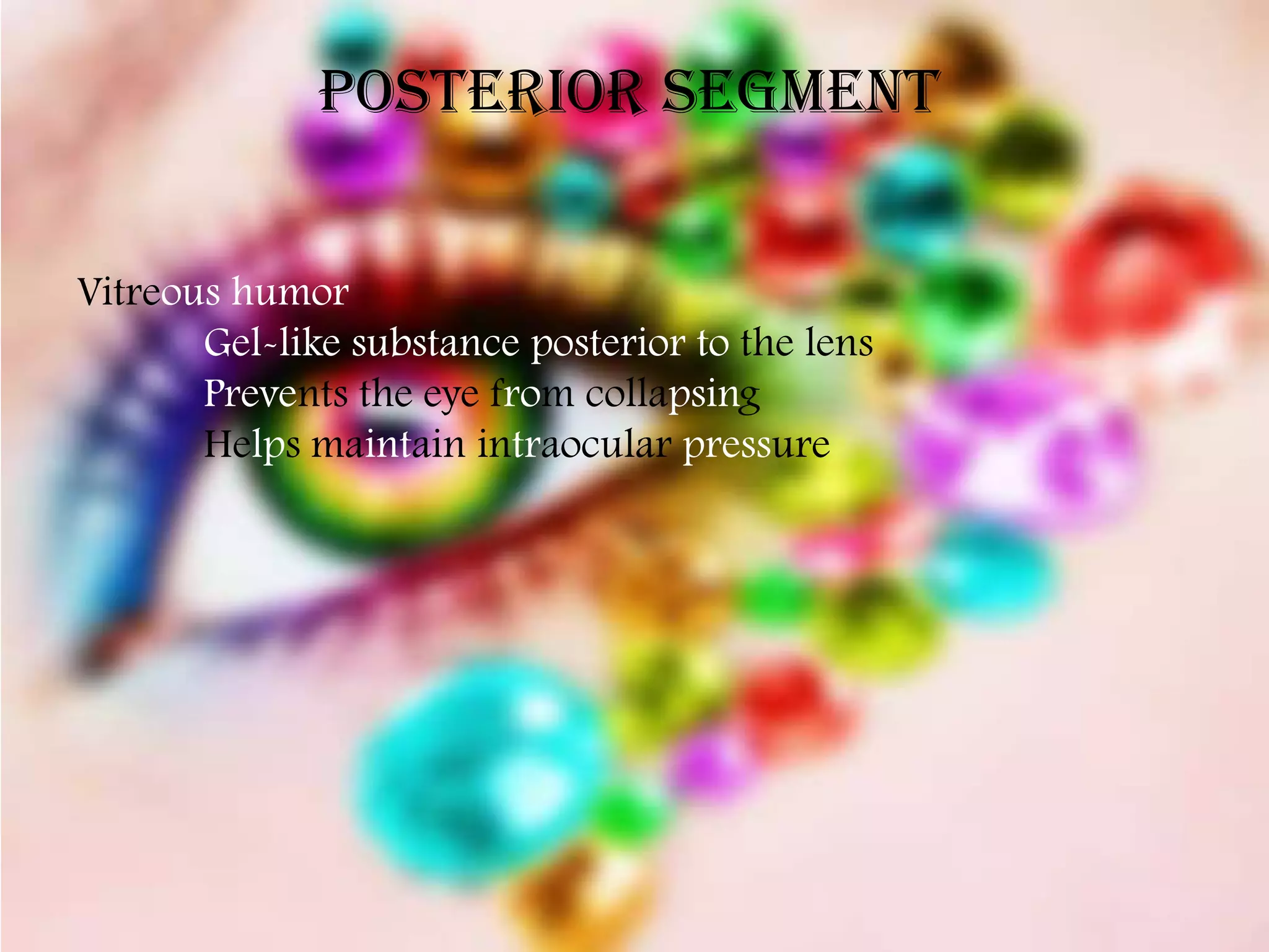 Posterior Segment


Vitreous humor
       Gel-like substance posterior to the lens
       Prevents the eye from collapsing
       Helps maintain intraocular pressure
 