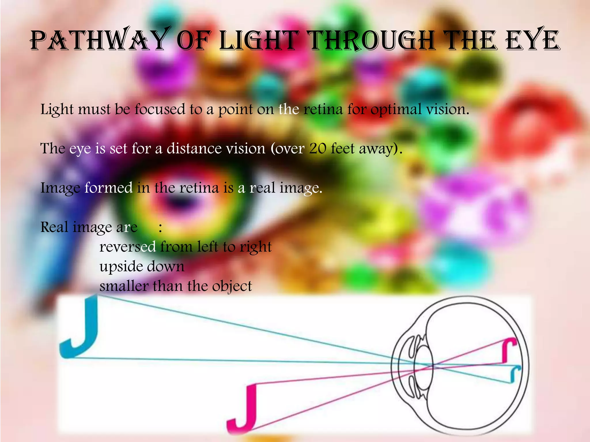 PATHWAY OF LIGHT THROUGH THE EYE

Light must be focused to a point on the retina for optimal vision.

The eye is set for a distance vision (over 20 feet away).

Image formed in the retina is a real image.

Real image are :
        reversed from left to right
        upside down
        smaller than the object
 