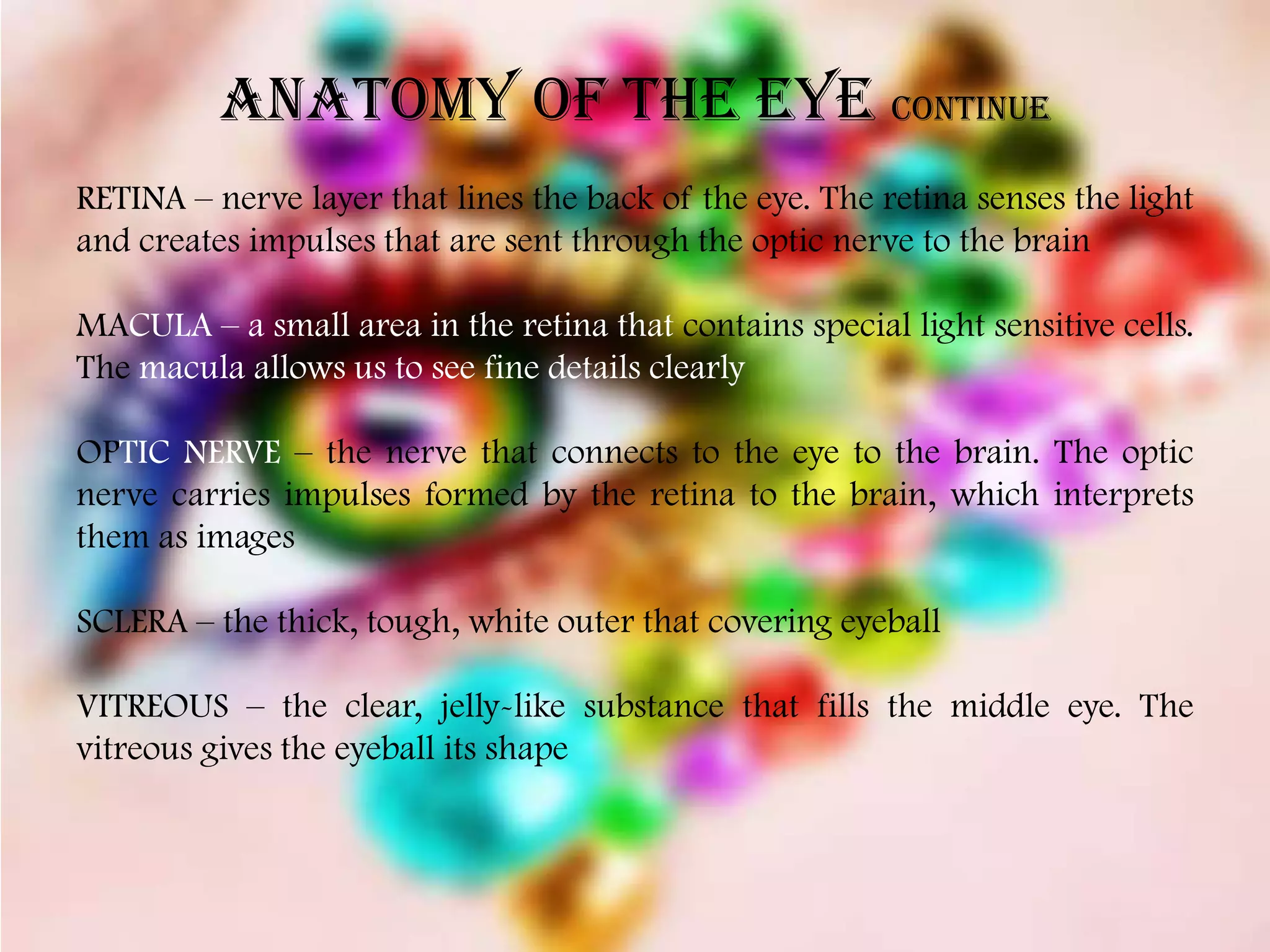 ANATOMY OF THE EYE continue
RETINA – nerve layer that lines the back of the eye. The retina senses the light
and creates impulses that are sent through the optic nerve to the brain

MACULA – a small area in the retina that contains special light sensitive cells.
The macula allows us to see fine details clearly

OPTIC NERVE – the nerve that connects to the eye to the brain. The optic
nerve carries impulses formed by the retina to the brain, which interprets
them as images

SCLERA – the thick, tough, white outer that covering eyeball

VITREOUS – the clear, jelly-like substance that fills the middle eye. The
vitreous gives the eyeball its shape
 