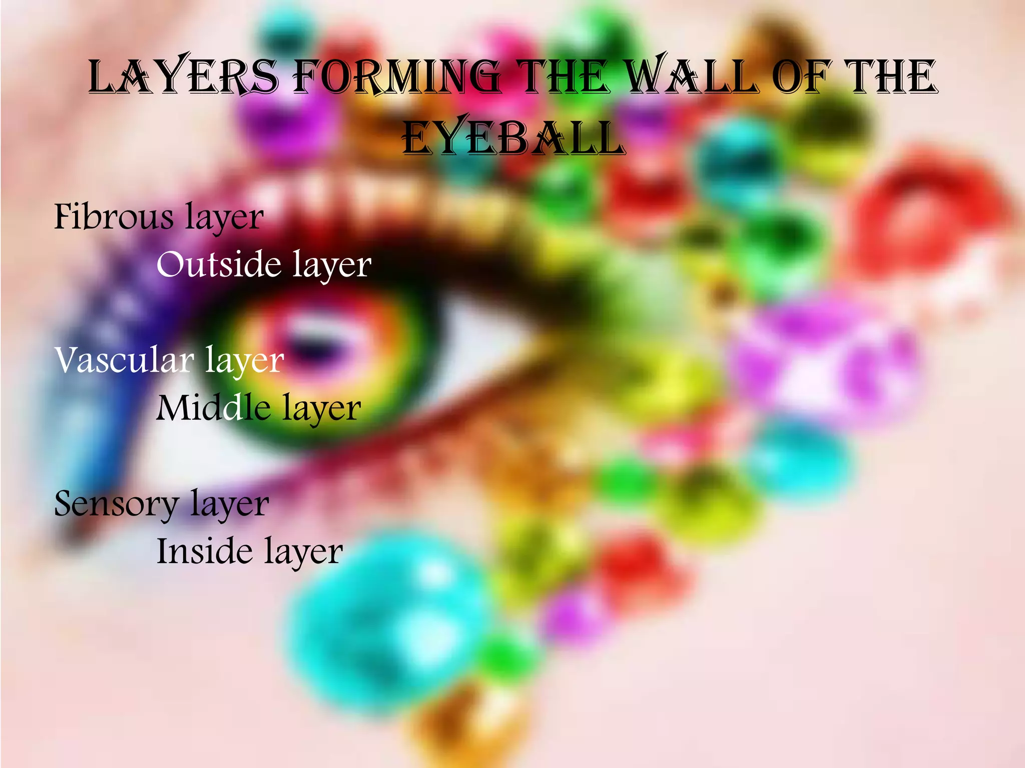 Layers forming the wall of the
            eyeball
Fibrous layer
      Outside layer

Vascular layer
      Middle layer

Sensory layer
      Inside layer
 