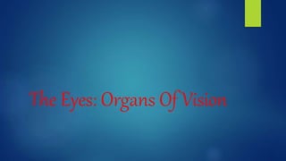 The Eyes: Organs Of Vision
 
