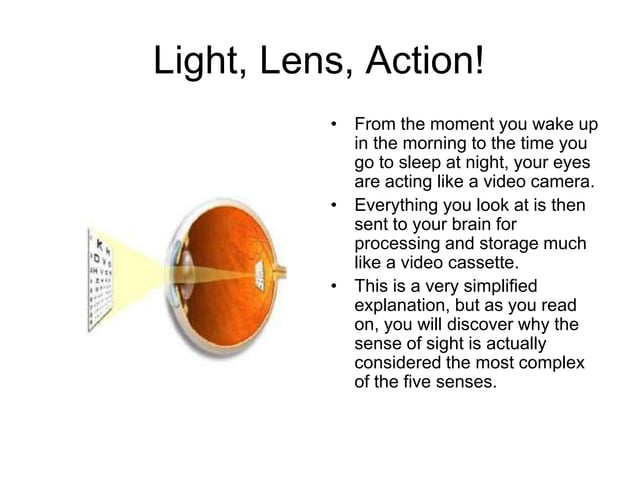 Eye Anatomy | PPTX | Eye and Vision Conditions | Diseases and Conditions