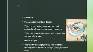 The Eye. Speech Language Pathology-1 Lecture 17 | PPTX