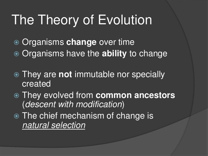 Facts About Evolution , Understanding Evolution – YSDI