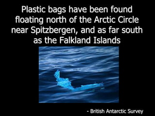 Plastic bags have been found floating north of the Arctic Circle near Spitzbergen, and as far south as the Falkland Islands- British Antarctic Survey 