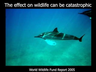 The effect on wildlife can be catastrophicWorld Wildlife Fund Report 2005