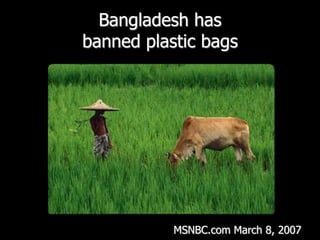 Bangladesh has banned plastic bags MSNBC.com March 8, 2007