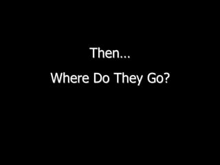 Then…Where Do They Go?