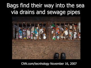 Bags find their way into the sea via drains and sewage pipes CNN.com/tecnhologyNovember 16, 2007 