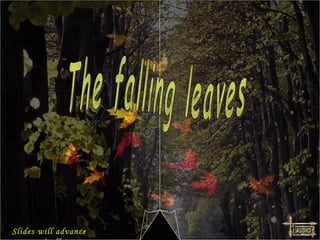 The falling leaves Slides will advance automatically 