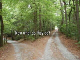 Now what do they do?
 