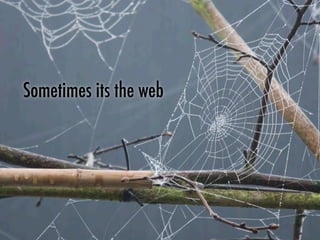 Sometimes its the web
 