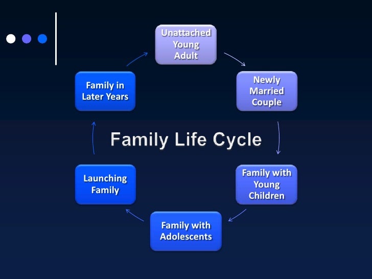 The Family Life Cycle the-family-life-cycle