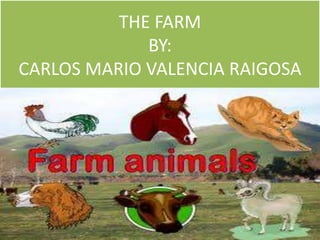 THE FARM
BY:
CARLOS MARIO VALENCIA RAIGOSA

 
