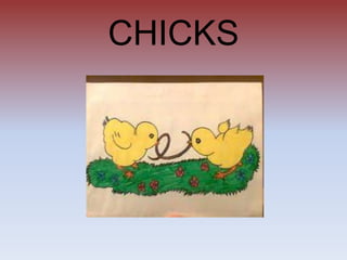 CHICKS
 