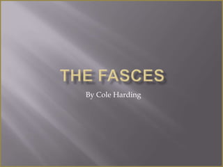 The Fasces By Cole Harding 