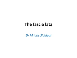 The fascia lata
Dr M Idris Siddiqui
 
