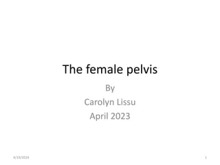 The female pelvis
By
Carolyn Lissu
April 2023
4/19/2024 1
 