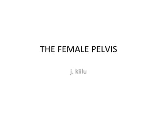THE FEMALE PELVIS
j. kiilu
 