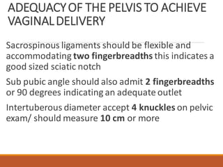 Two Fingerbreadths THE_FEMALE_PELVIS_AND_ITS_SIGNIFICANCE_final.pdf
