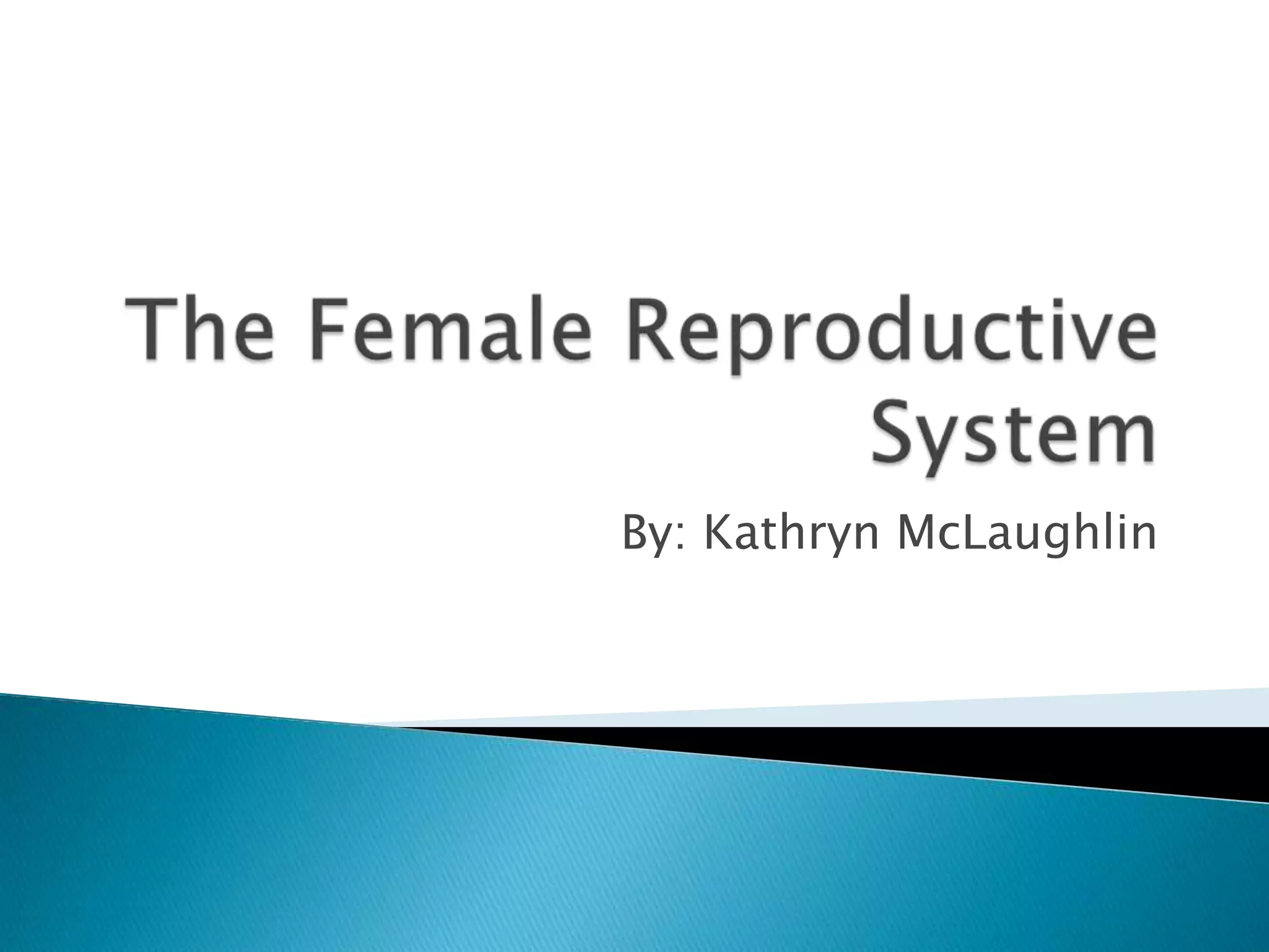 The Female Reproductive SystemBy: Kathryn McLaughlin