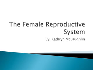 The Female Reproductive System By: Kathryn McLaughlin 