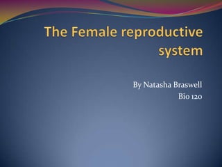 The Female reproductive system By Natasha Braswell Bio 120 
