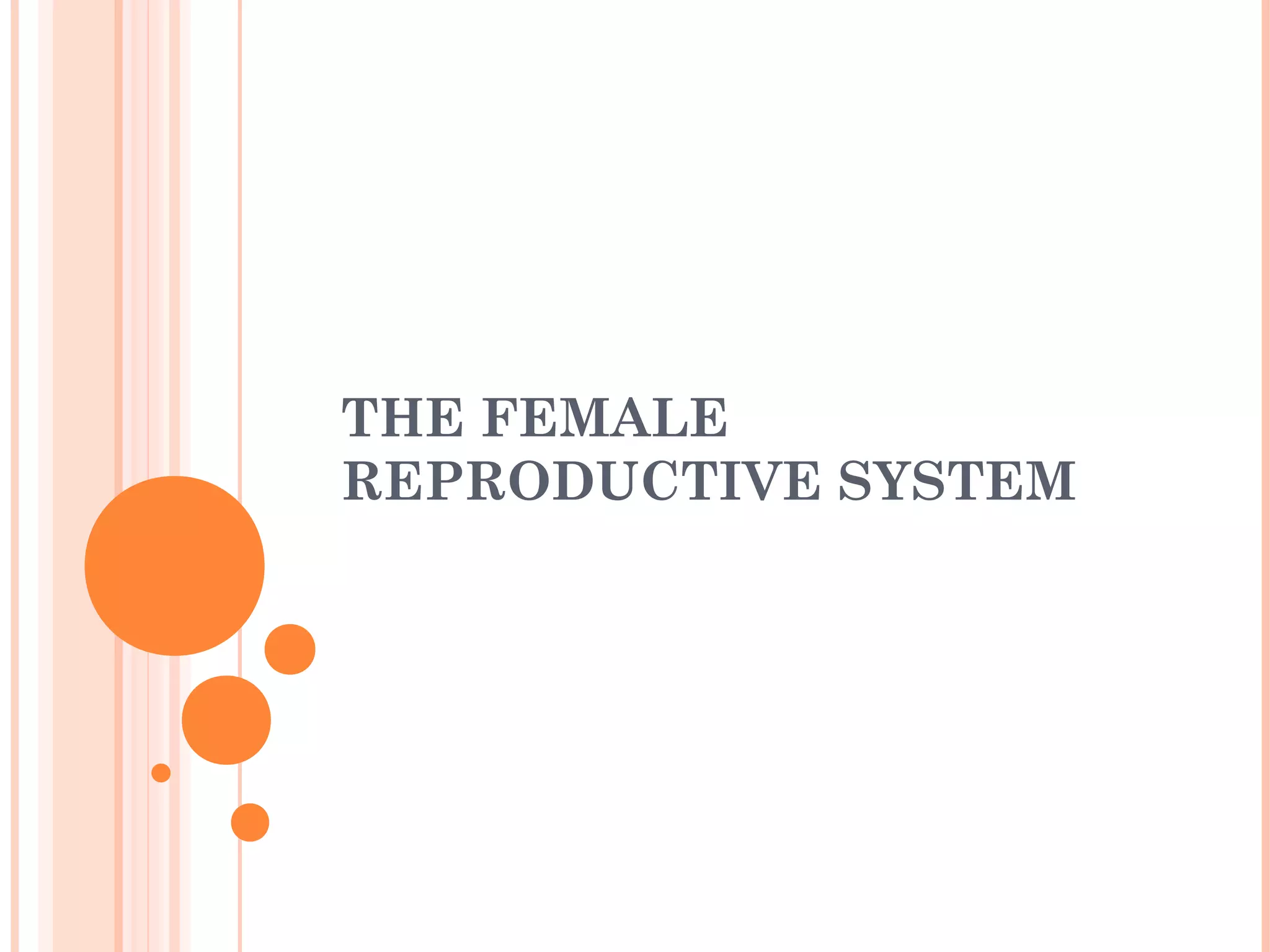 The female Reproductive System | PPT