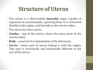 The female reproductive system | PDF