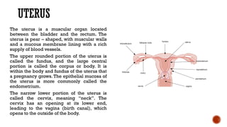 Comprehensive Overview of the Female Reproductive System: Anatomy ...