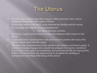 The female reproductive system10