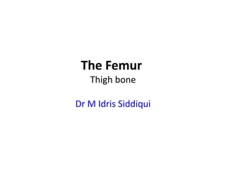 The Femur
Thigh bone
Dr M Idris Siddiqui
 