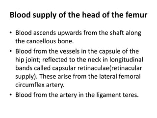 Blood supply of the head of the femur
• Blood ascends upwards from the shaft along
the cancellous bone.
• Blood from the vessels in the capsule of the
hip joint; reflected to the neck in longitudinal
bands called capsular retinaculae(retinacular
supply). These arise from the lateral femoral
circumflex artery.
• Blood from the artery in the ligament teres.
 